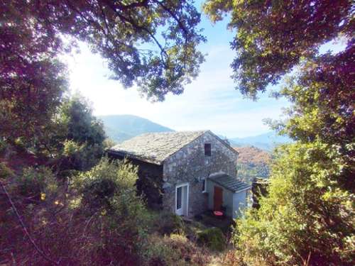 Bisinchi Haute-Corse Haus Bild 7231818