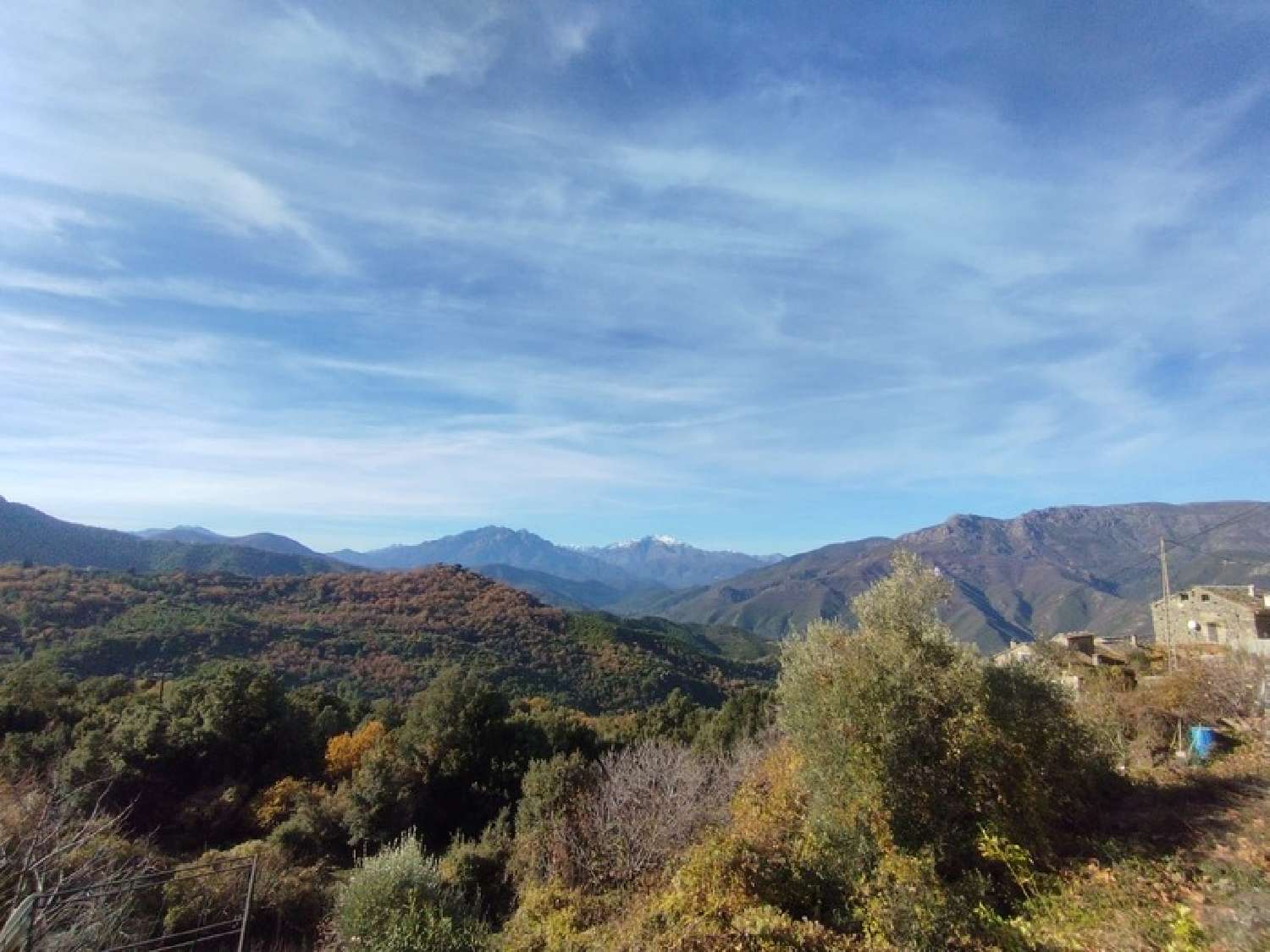  kaufen Haus Bisinchi Haute-Corse 3