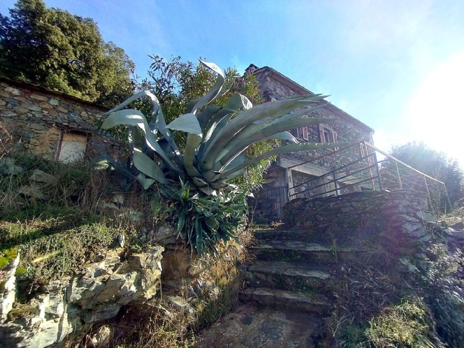  kaufen Haus Bisinchi Haute-Corse 4
