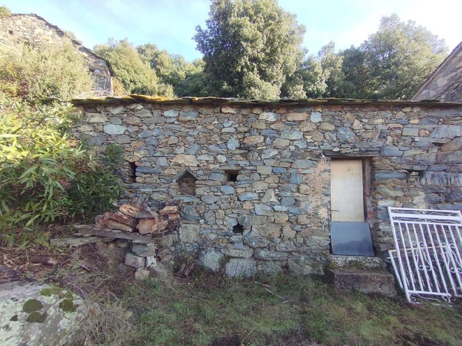  kaufen Haus Bisinchi Haute-Corse 6