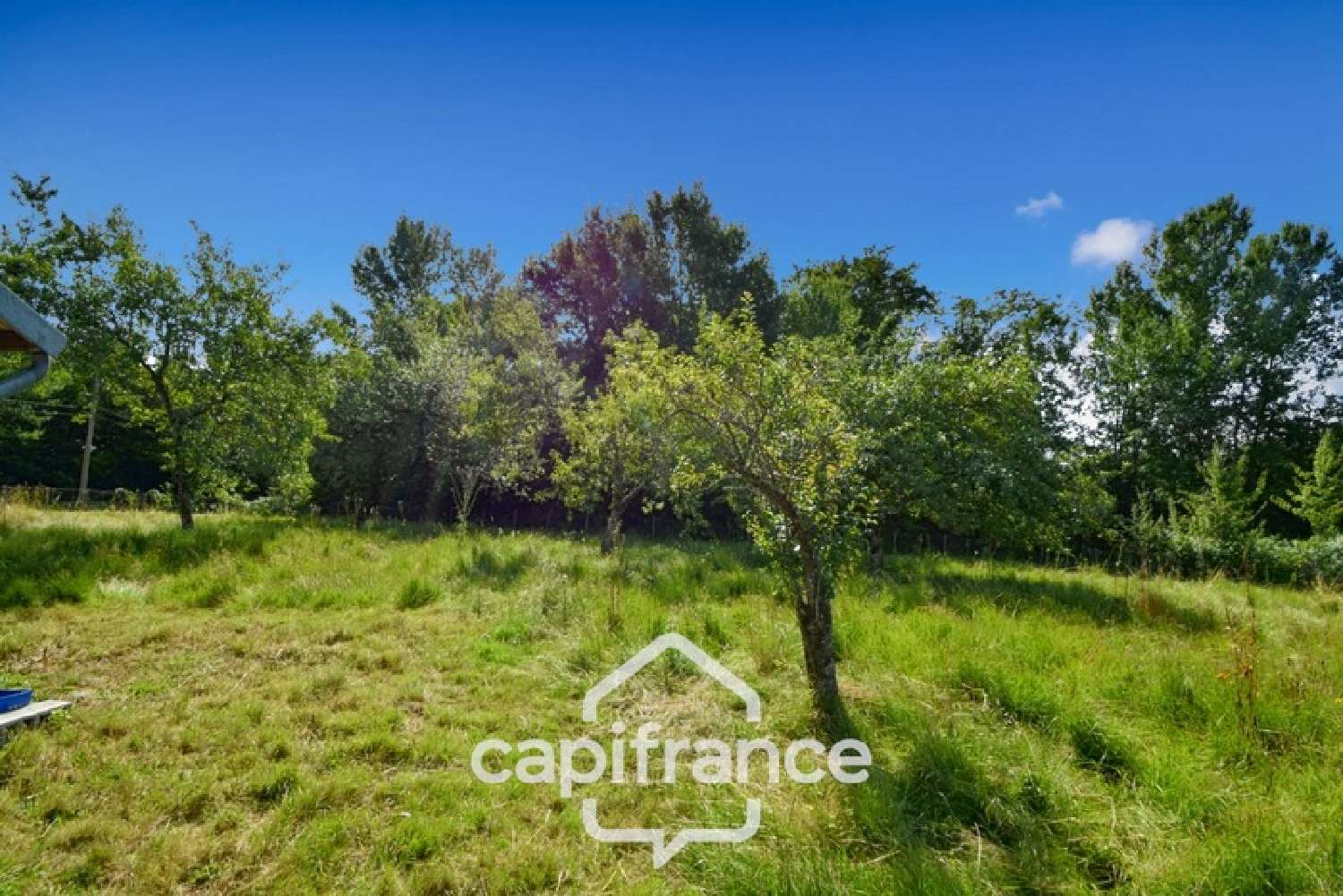 te koop huis Bletterans Jura 8