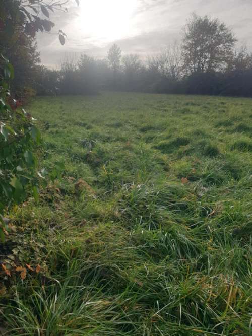 Saint-Bonnet Charente huis foto 7228486