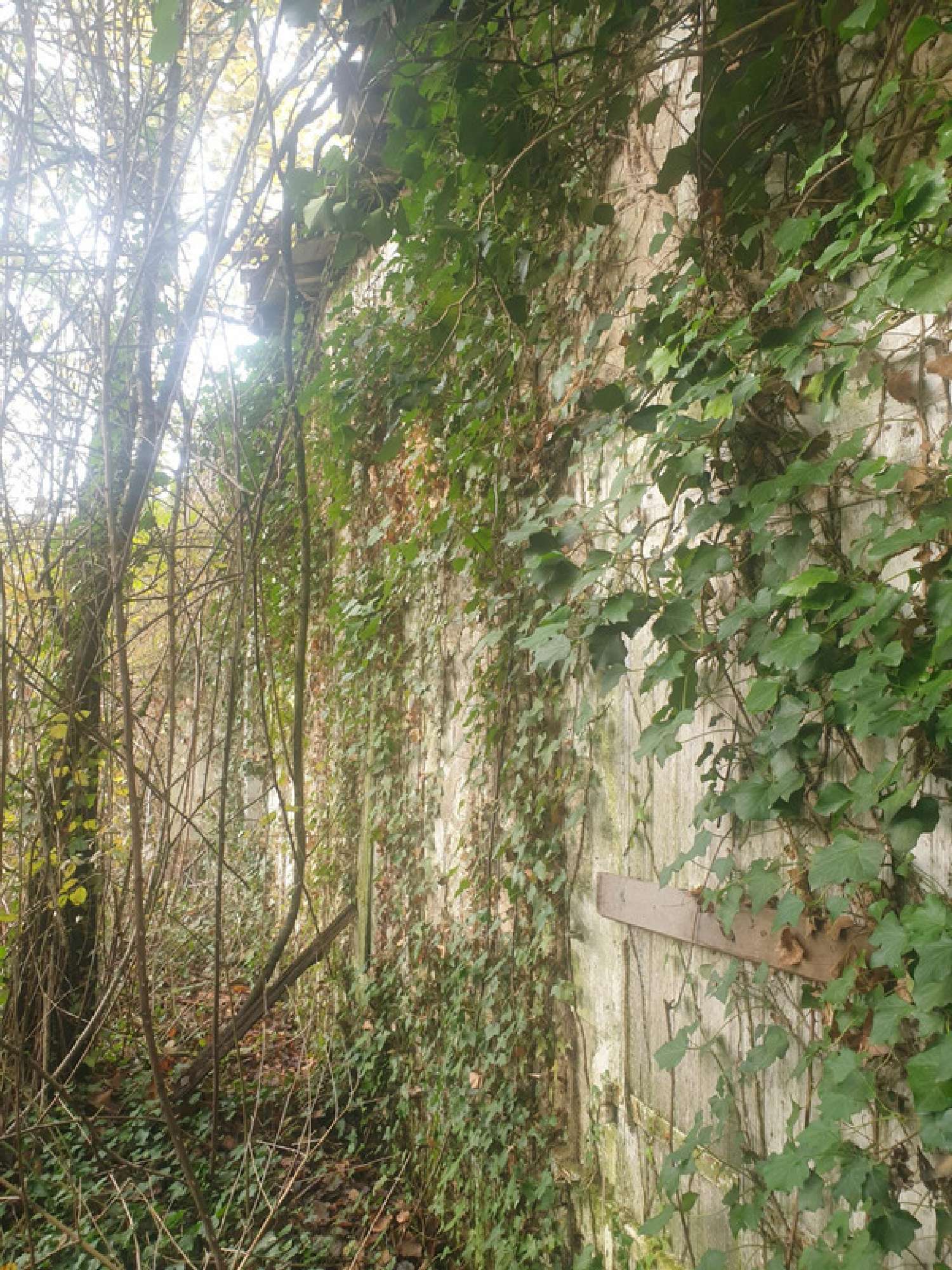  te koop huis Saint-Bonnet Charente 2