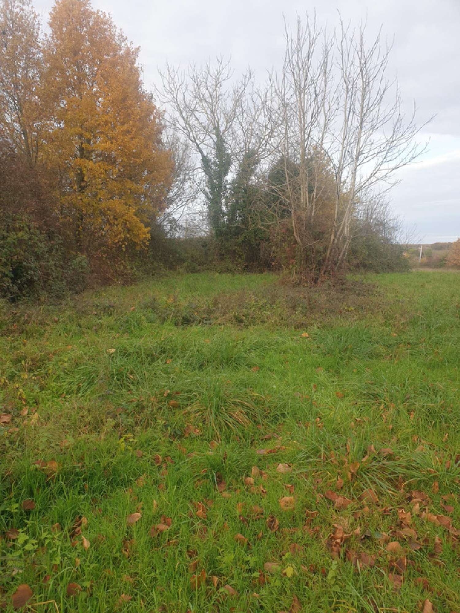  te koop huis Saint-Bonnet Charente 3