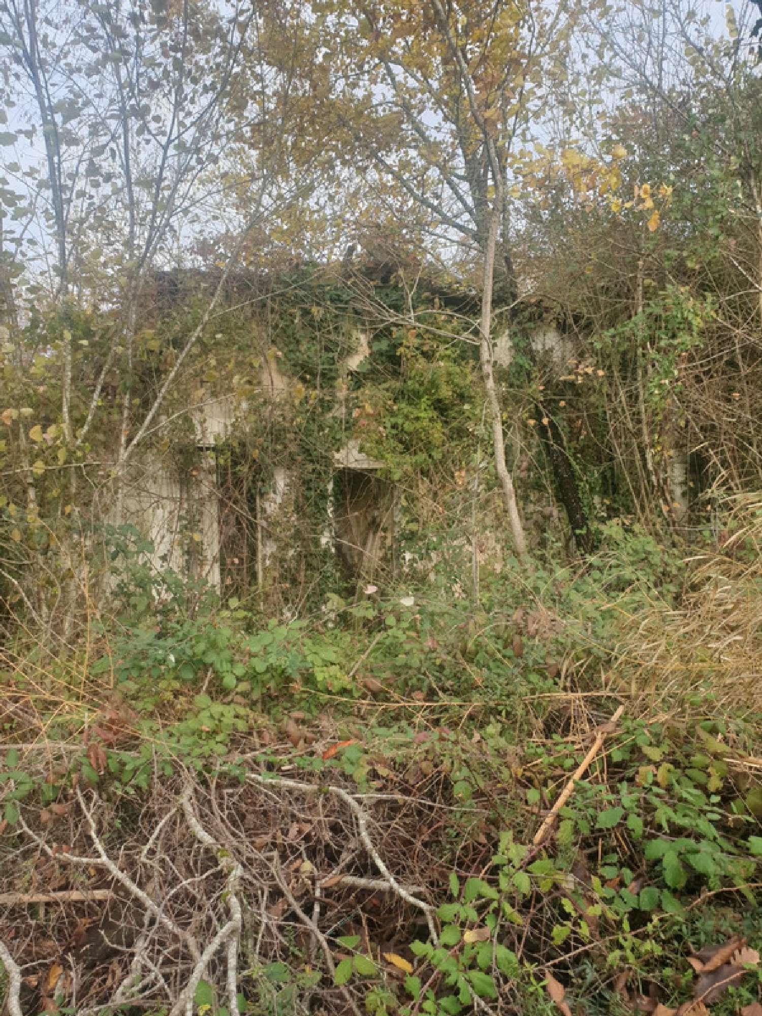  te koop huis Saint-Bonnet Charente 6