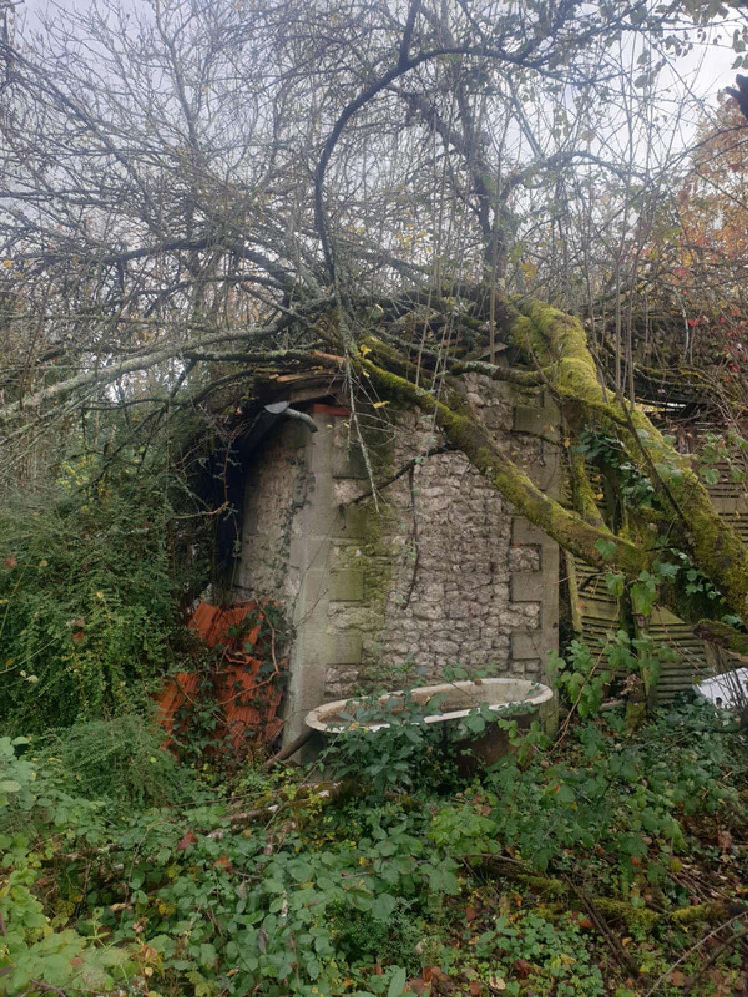  te koop huis Saint-Bonnet Charente 8