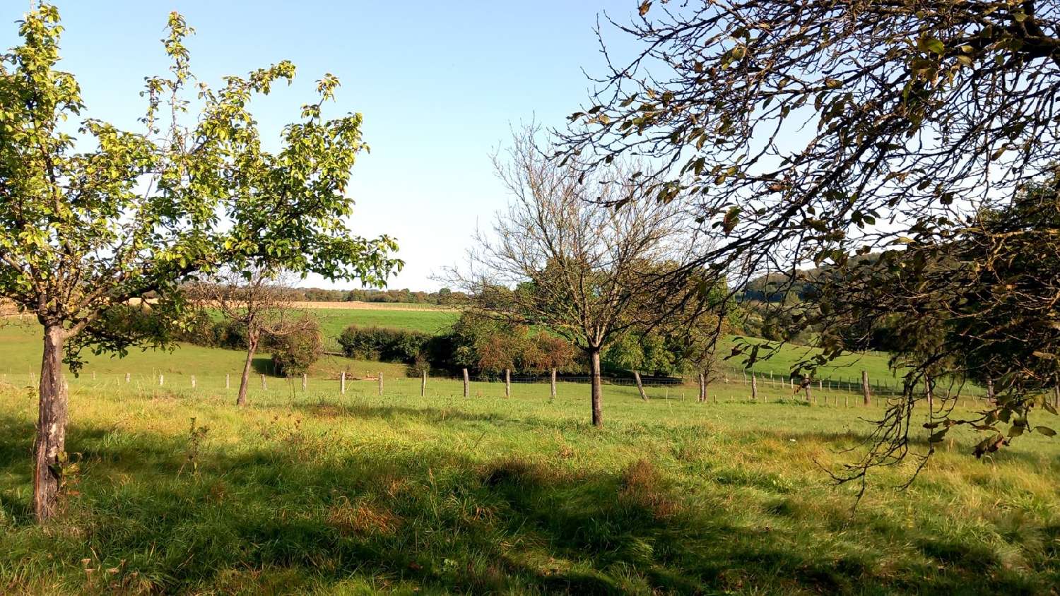 te koop huis Bourbonne-les-Bains Haute-Marne 2