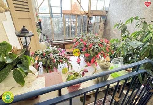 Bourges Cher Haus Bild 7229095