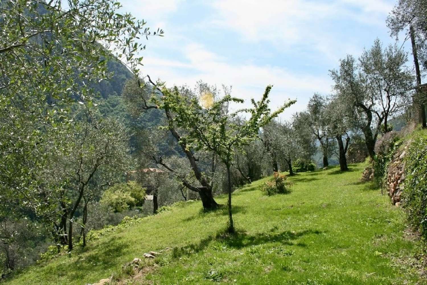 à vendre maison Breil-sur-Roya Alpes-Maritimes 2