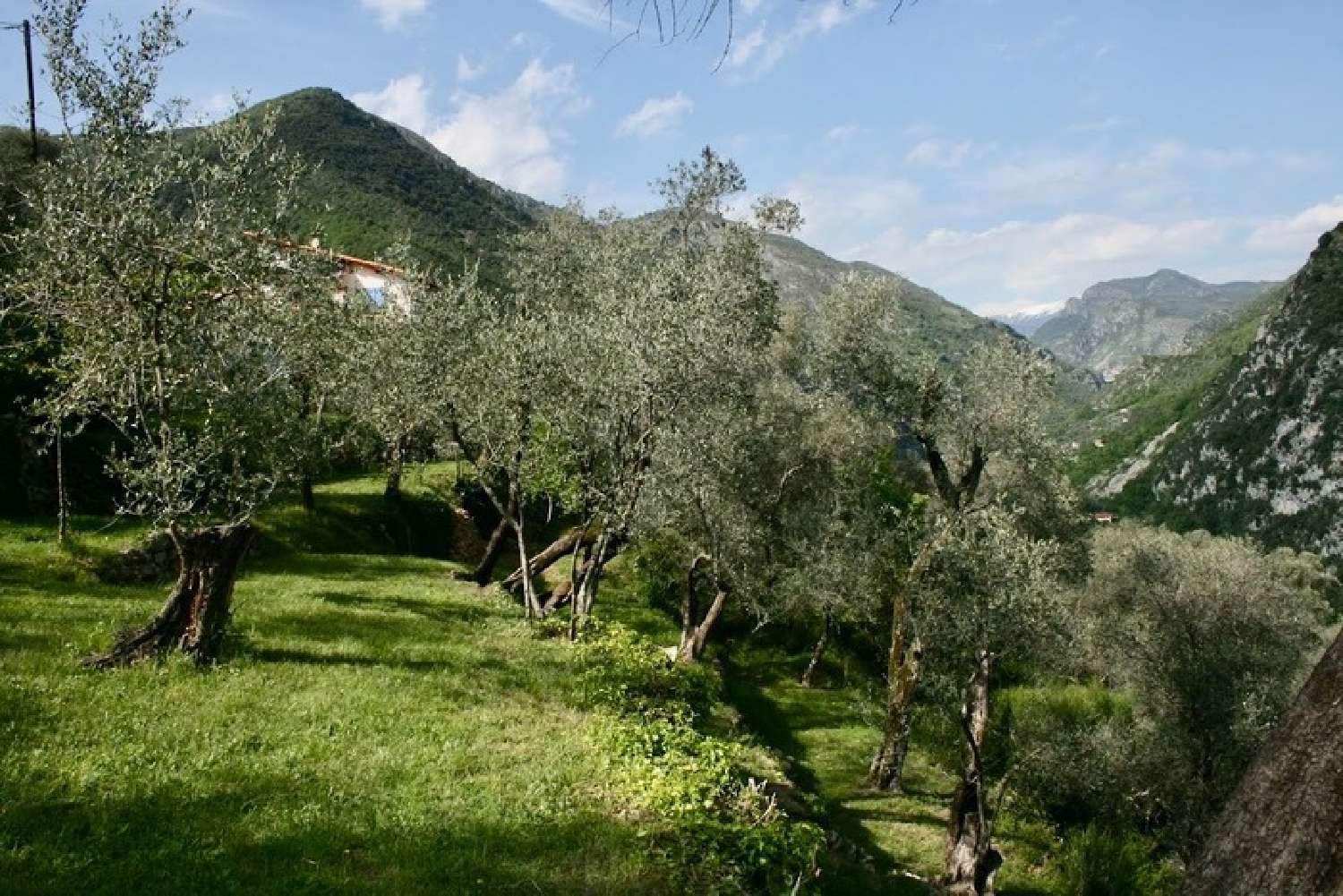 à vendre maison Breil-sur-Roya Alpes-Maritimes 7