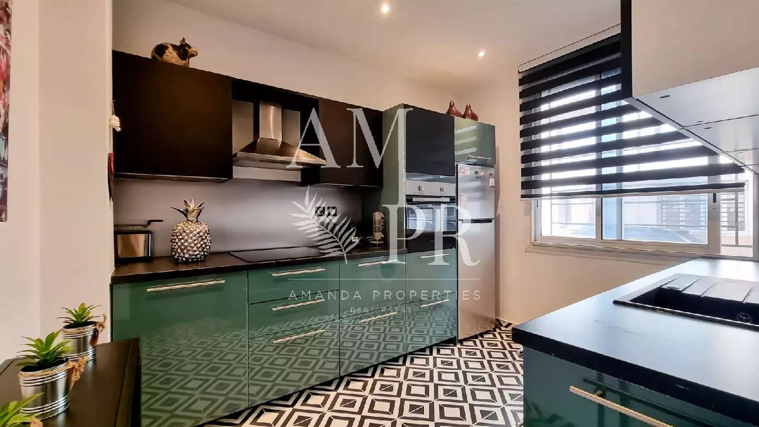 à vendre maison Cannes Alpes-Maritimes 8