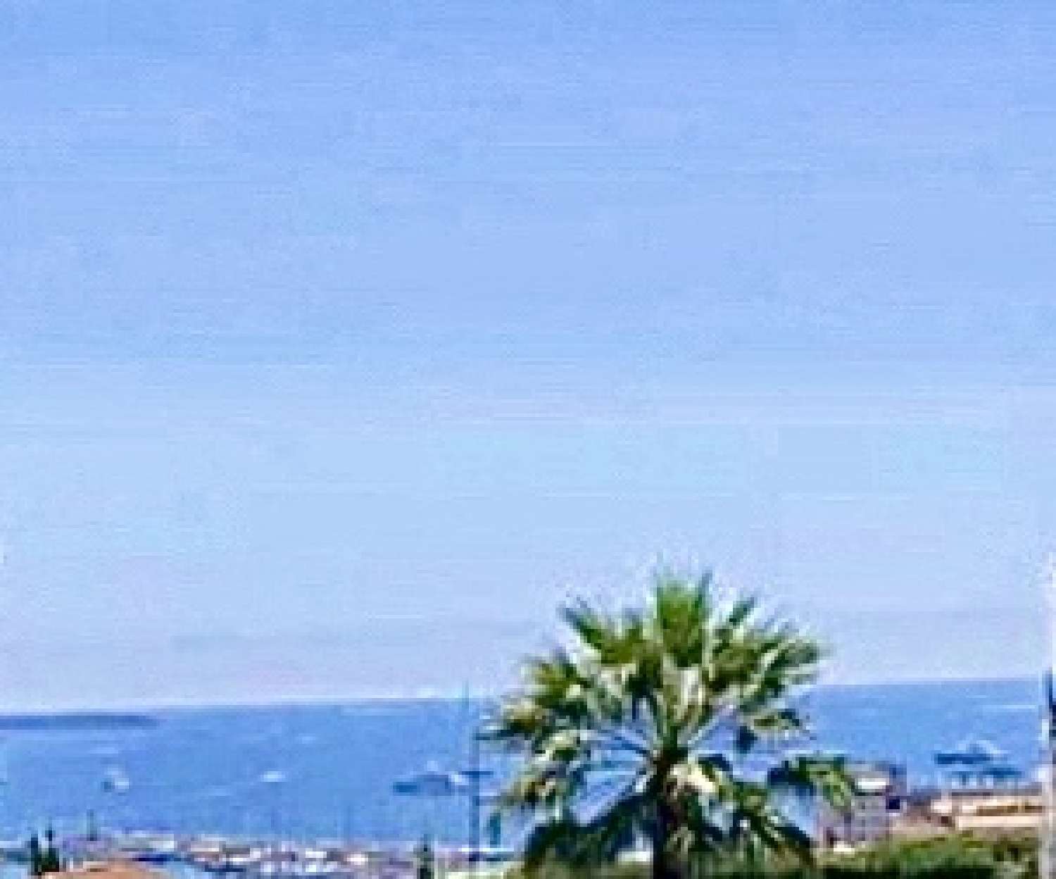 for sale house Cannes Alpes-Maritimes 1