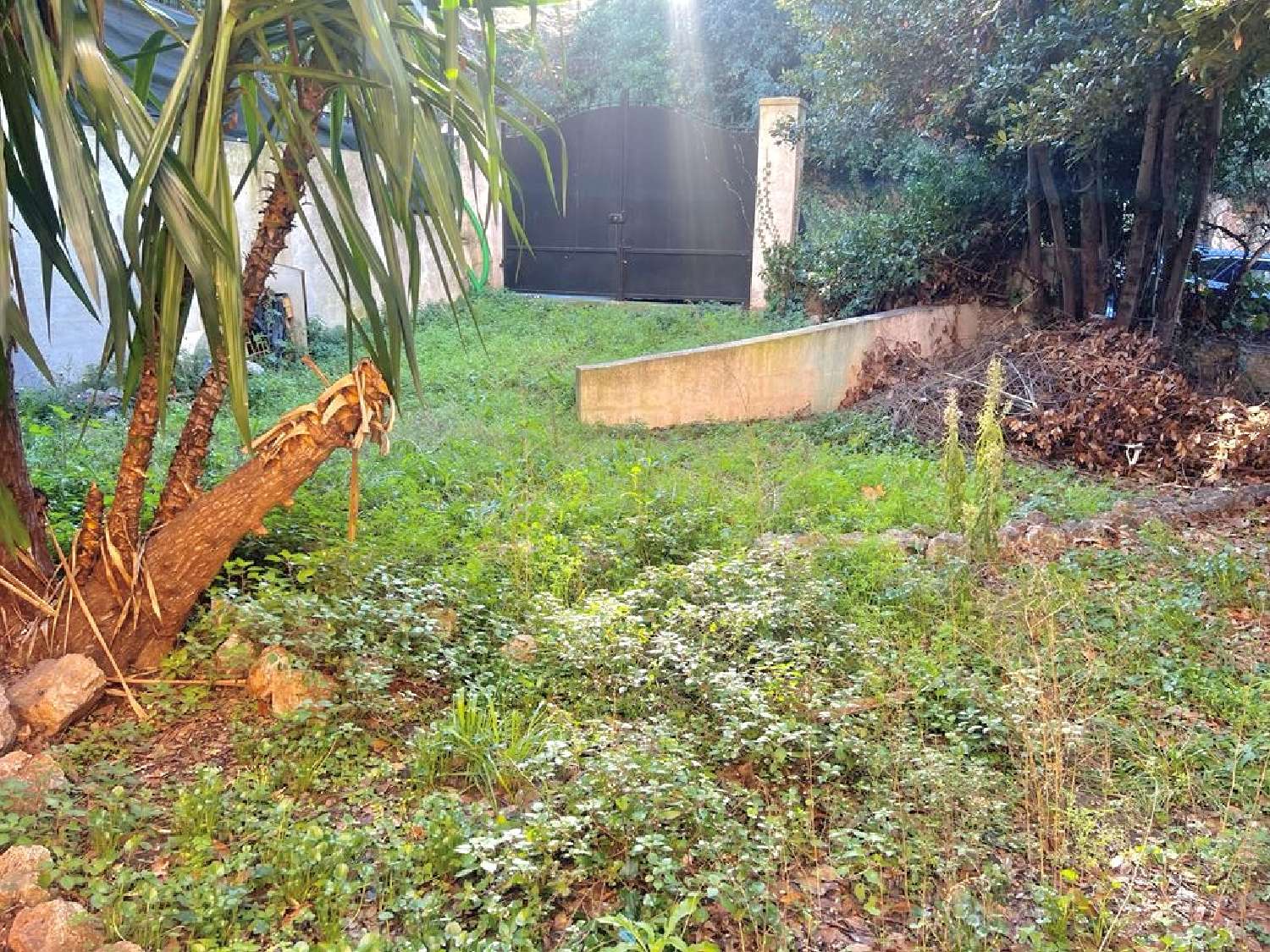 for sale house Cannes Alpes-Maritimes 2