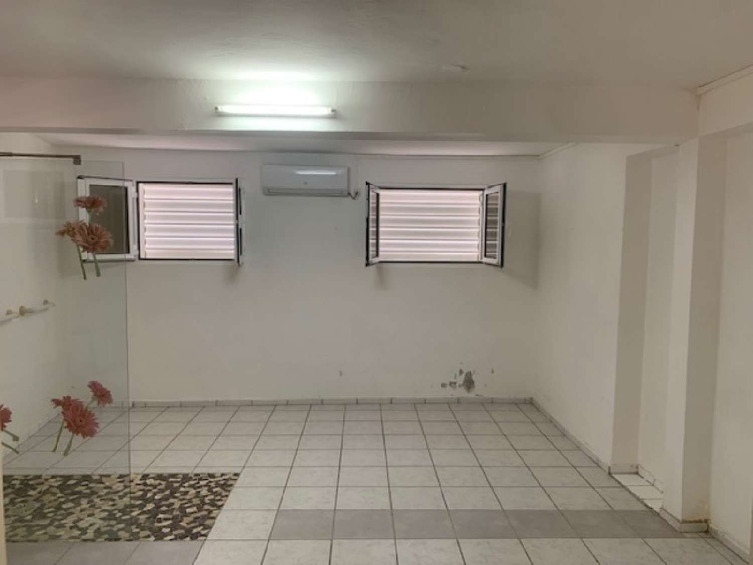 te koop huis Capesterre-Belle-Eau Guadeloupe 3