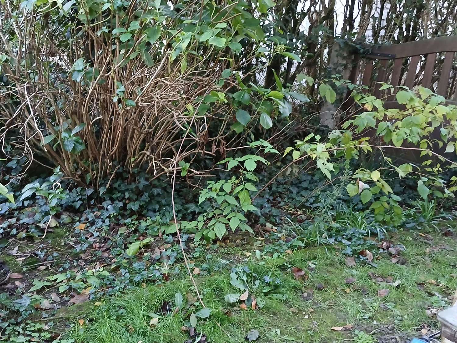 à vendre maison Castres Tarn 8