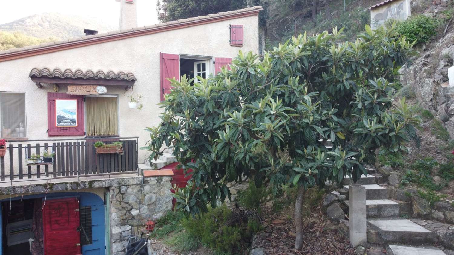 te koop huis Céret Pyrénées-Orientales 3