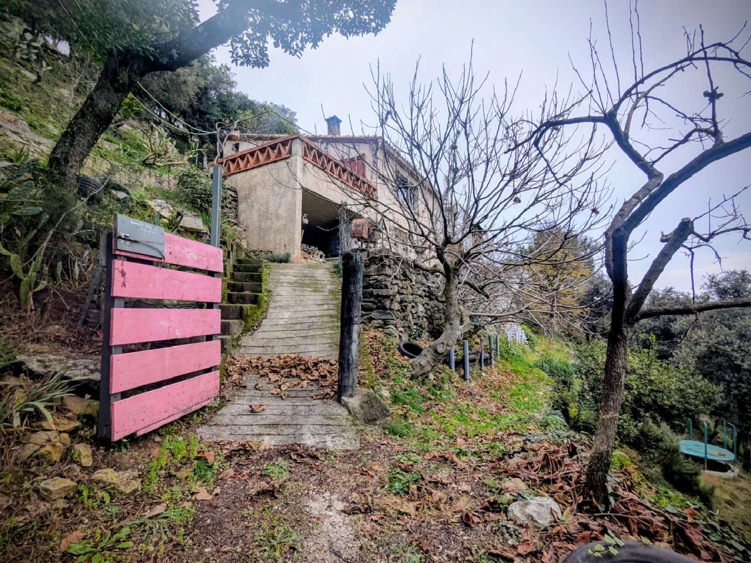 te koop huis Céret Pyrénées-Orientales 4