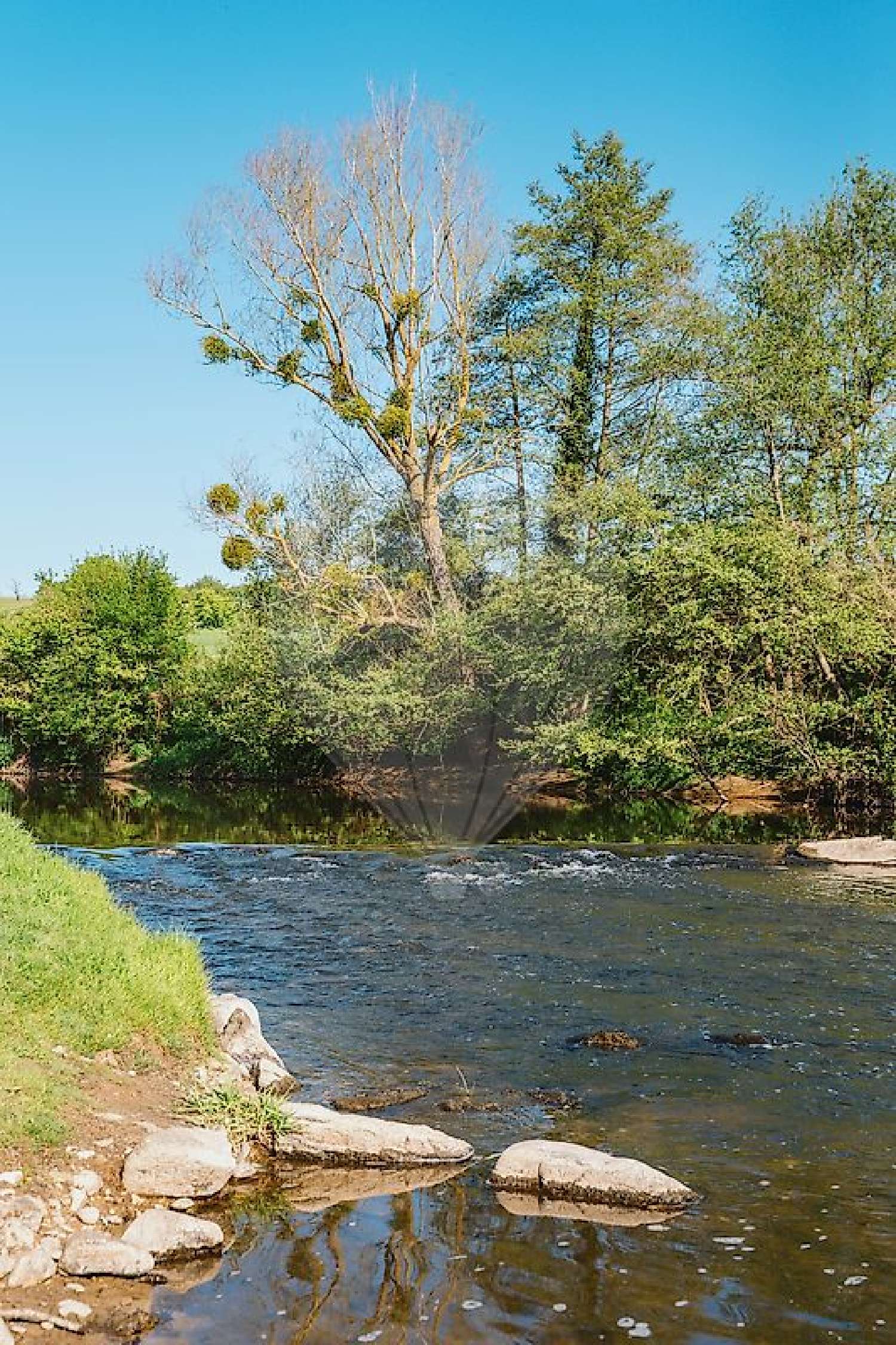  te koop huis Chantelle Allier 7