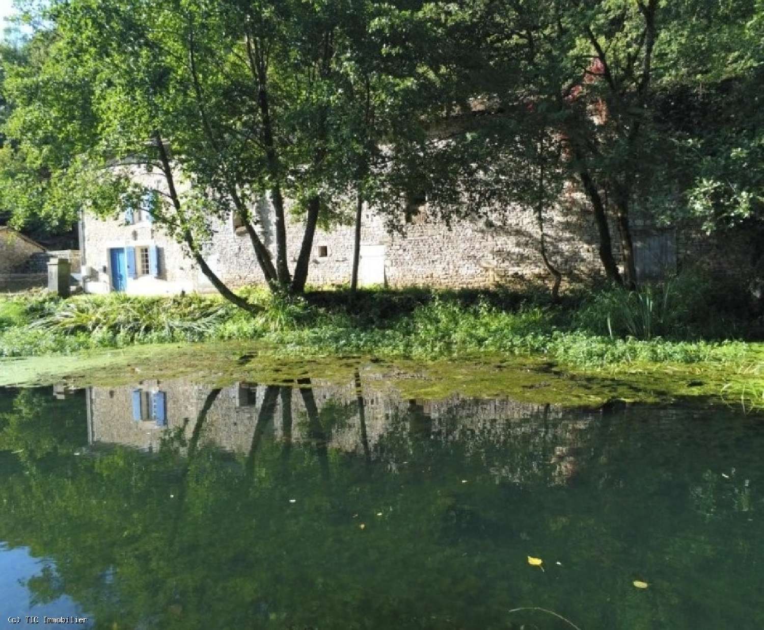 for sale house Civray Vienne 2