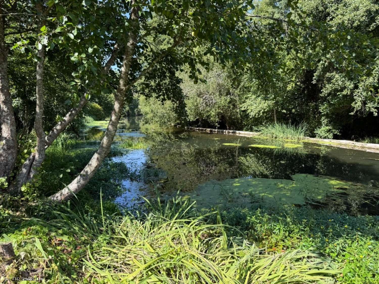 for sale house Civray Vienne 4