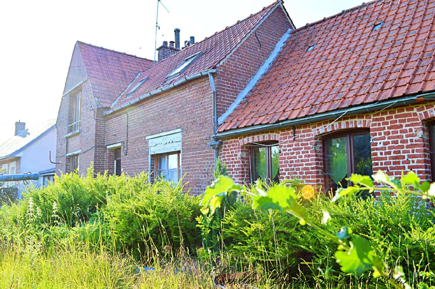 kaufen Haus Clary Nord 6