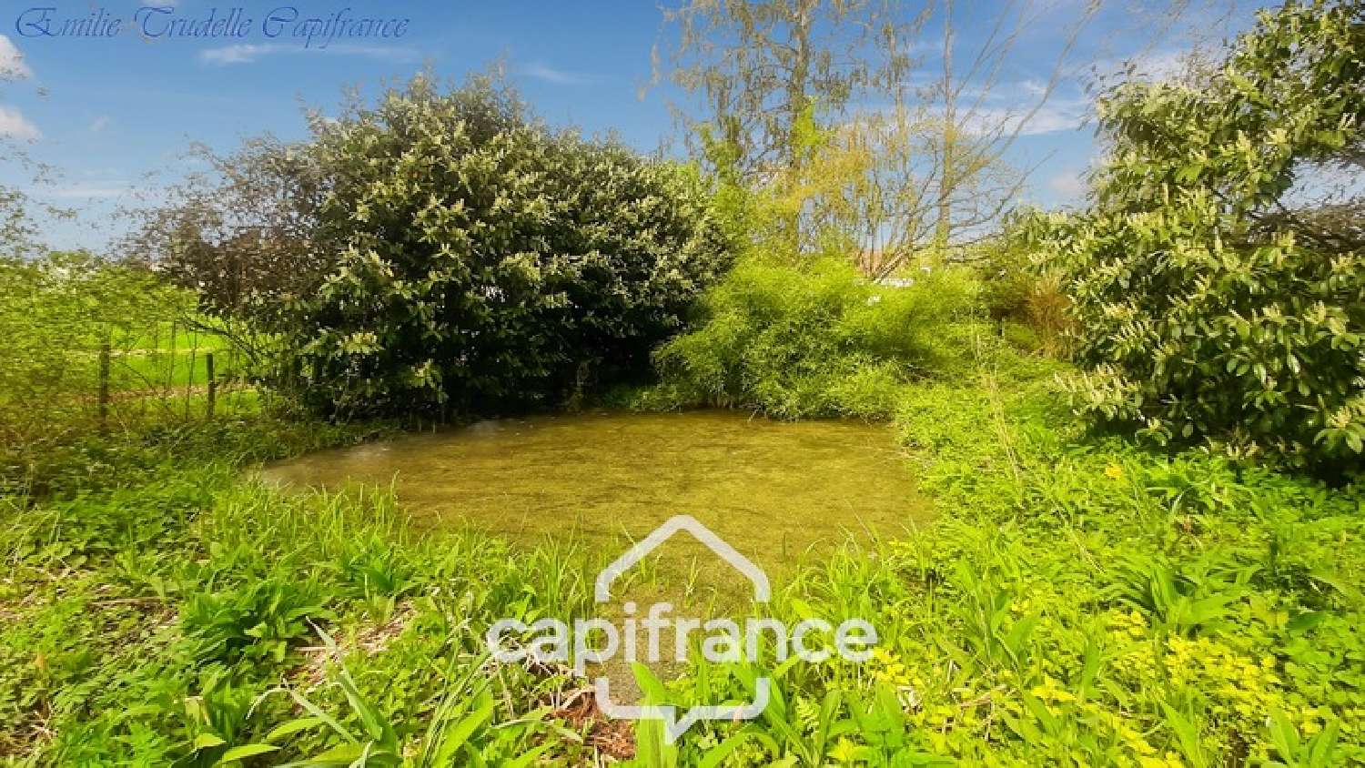  à vendre maison Cogners Sarthe 4