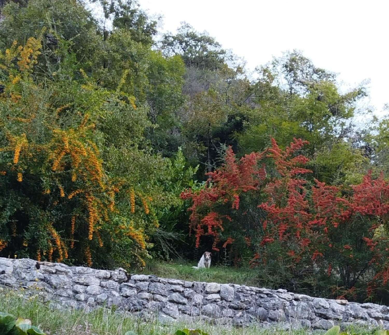 te koop huis Coisia Jura 4