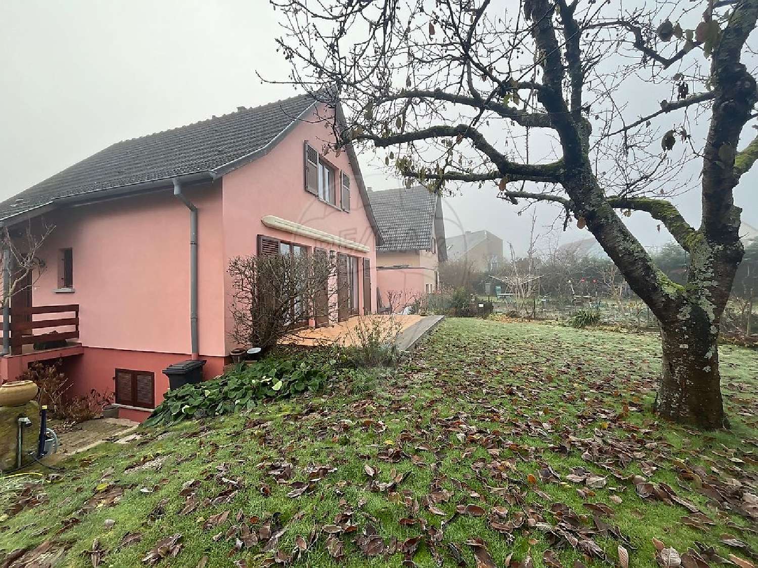  à vendre maison Colmar Haut-Rhin 4