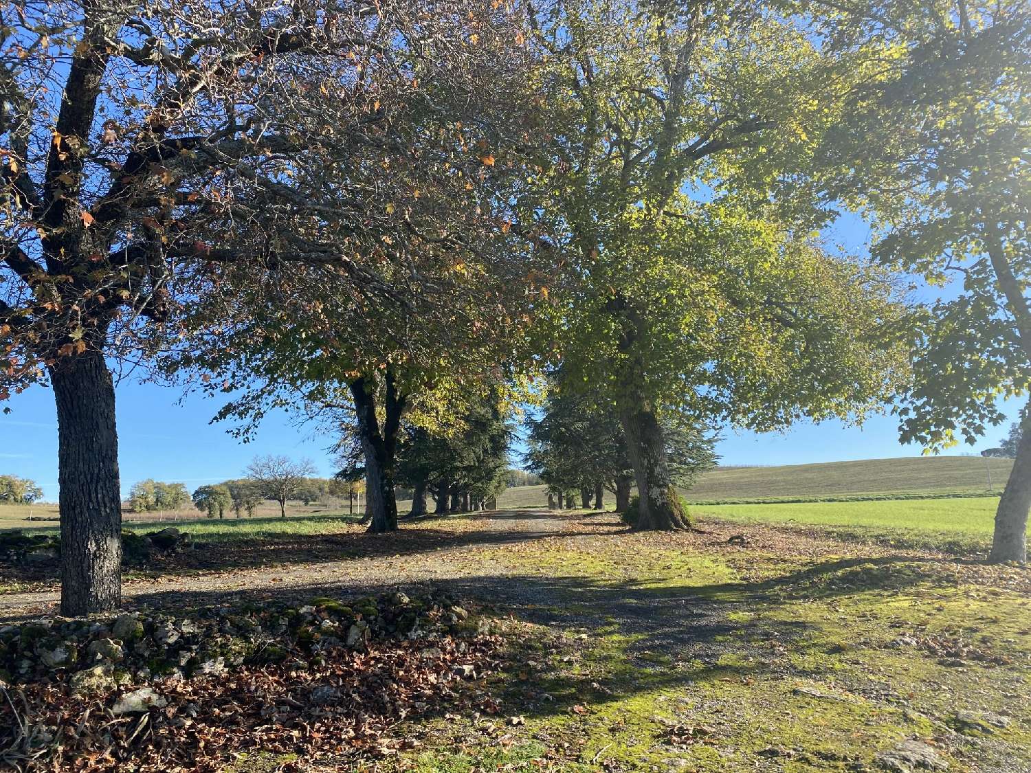 à vendre maison Condom Gers 4