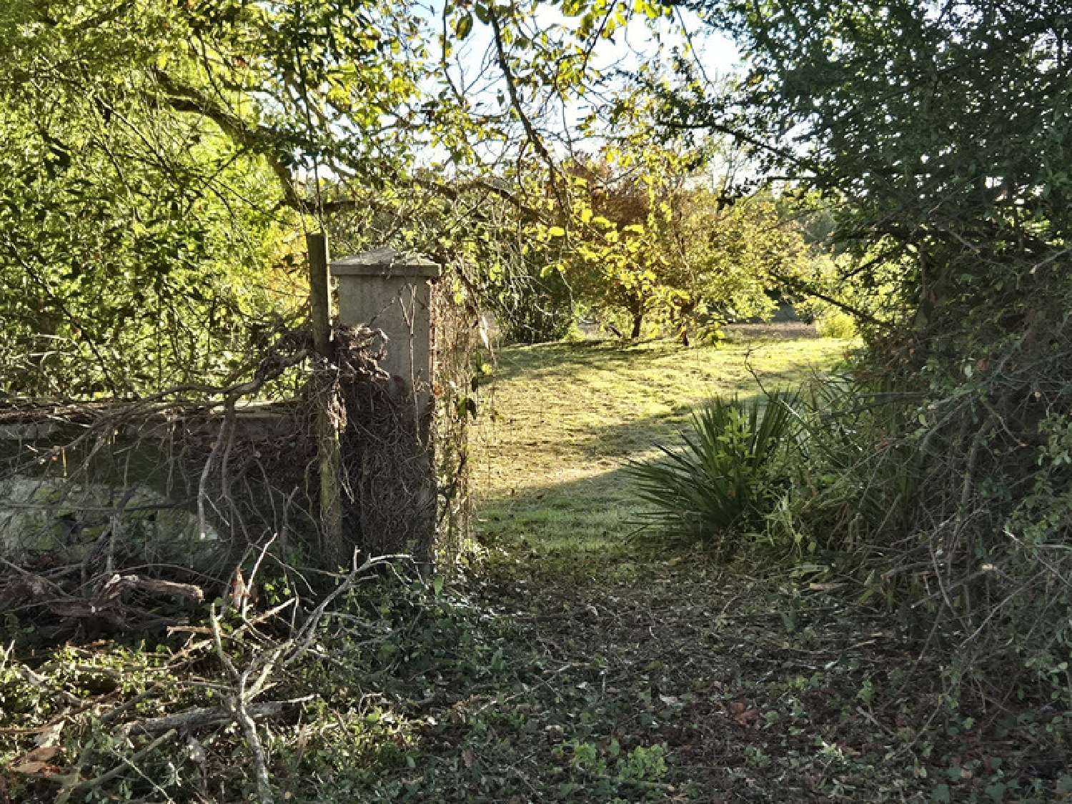 te koop huis Condom Gers 5