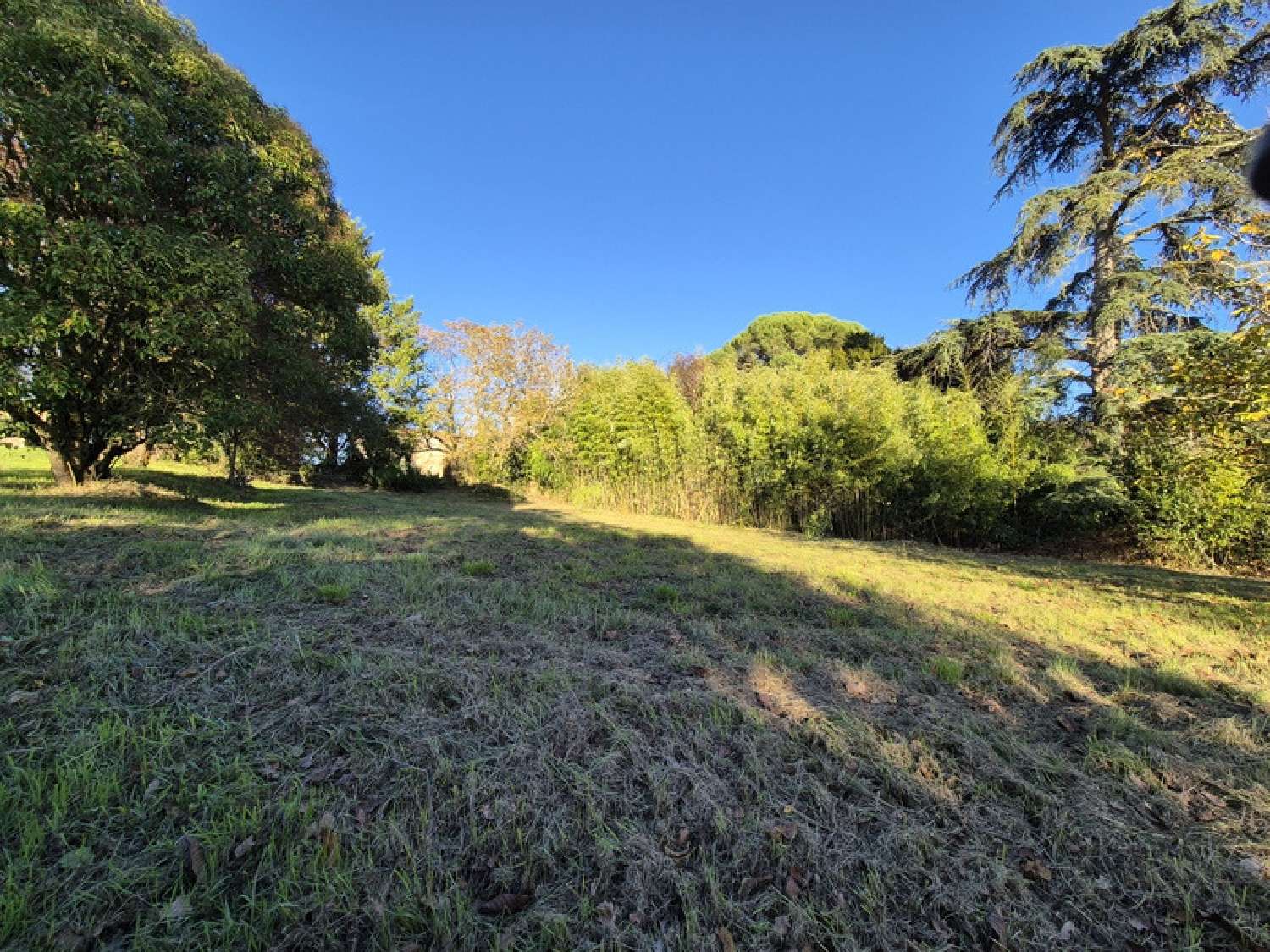 te koop huis Condom Gers 6