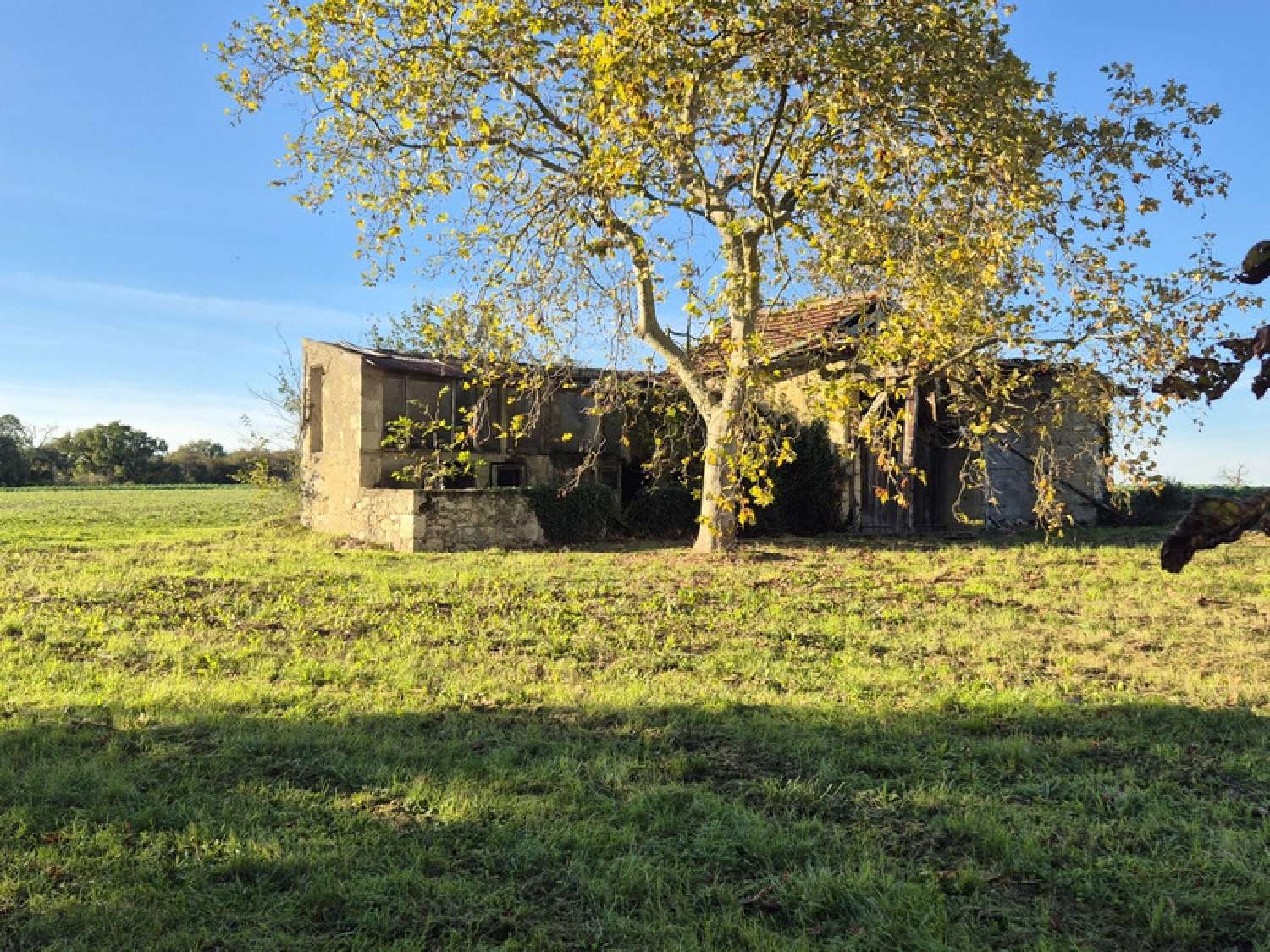 te koop huis Condom Gers 8