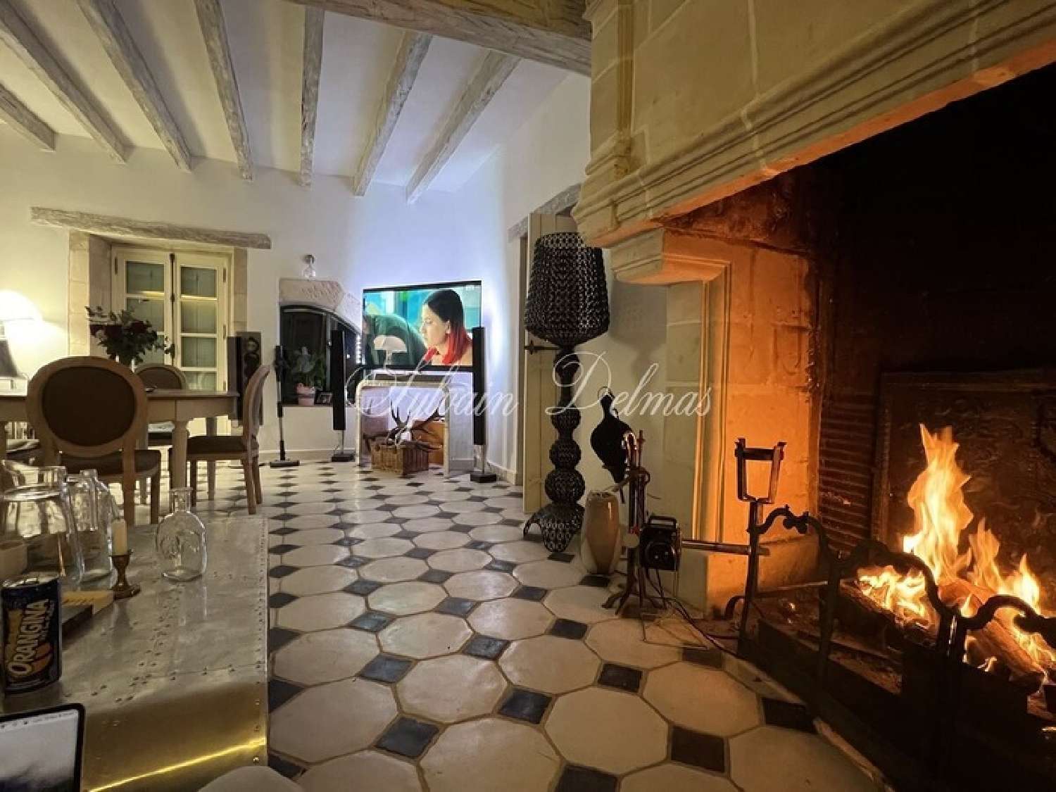 te koop huis Cormery Indre-et-Loire 6