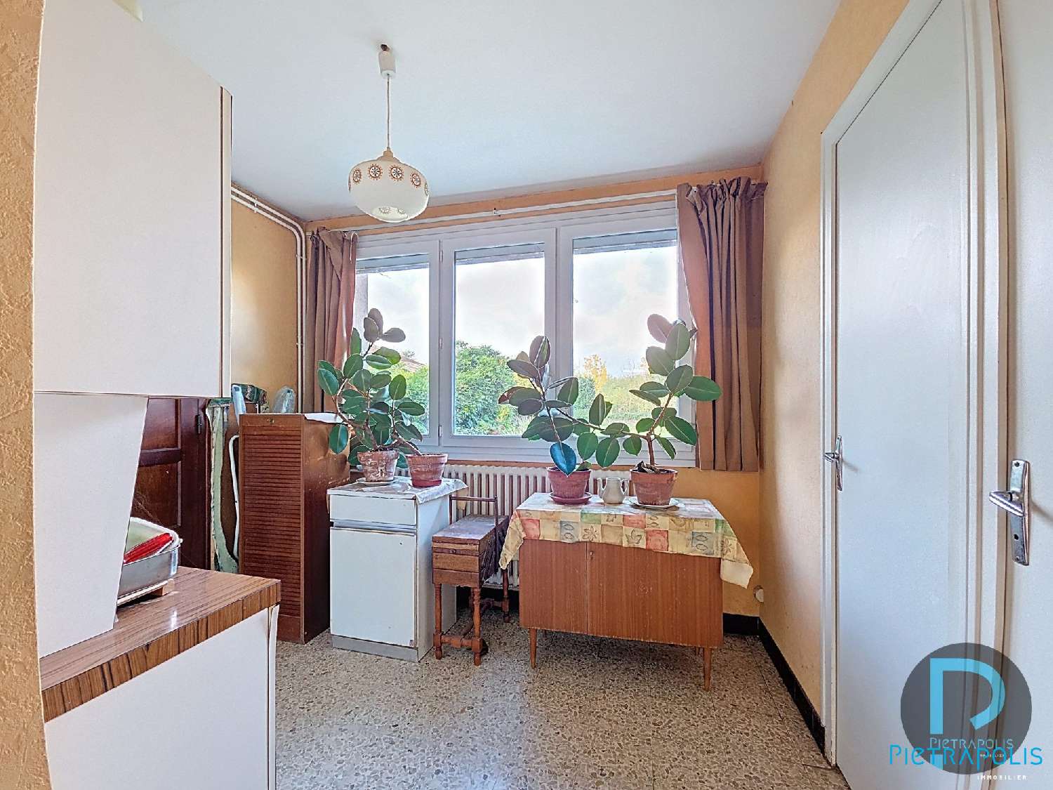  for sale house Cormoranche-sur-Saône Ain 5