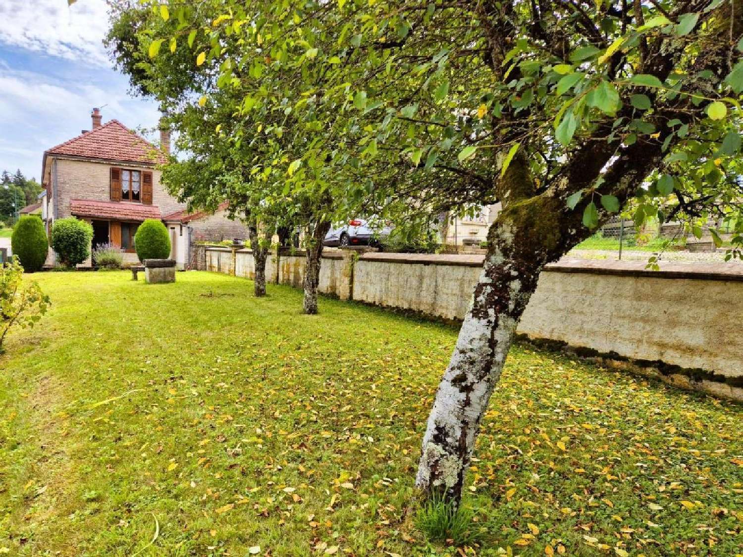  te koop huis Cunfin Aube 2