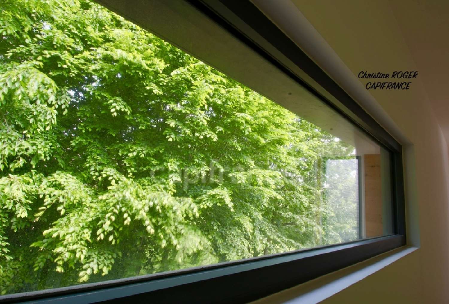 te koop huis Cysoing Nord 6