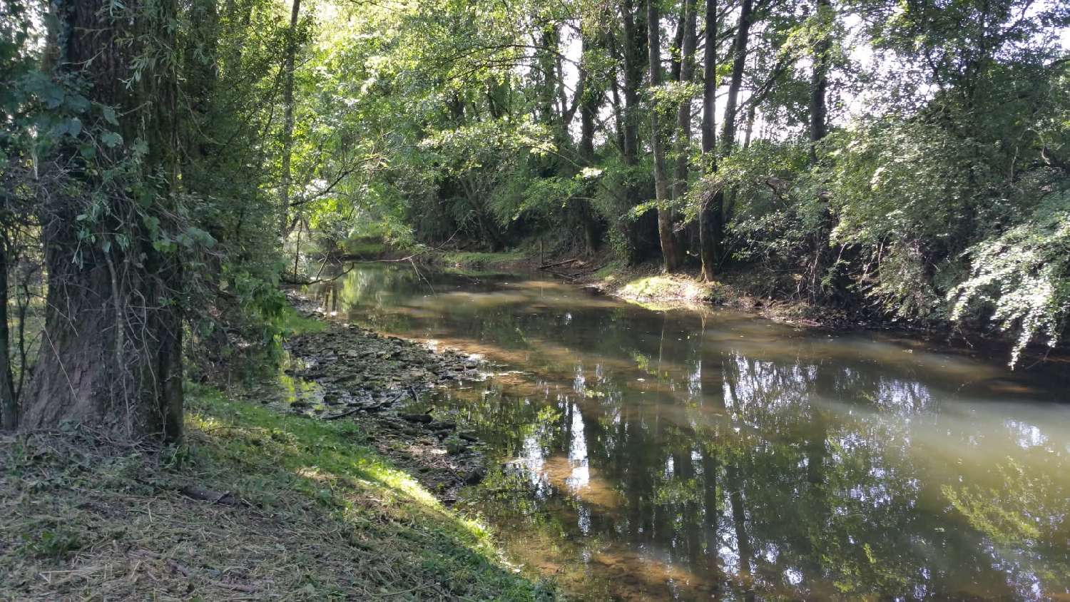  te koop huis Delain Haute-Saône 2