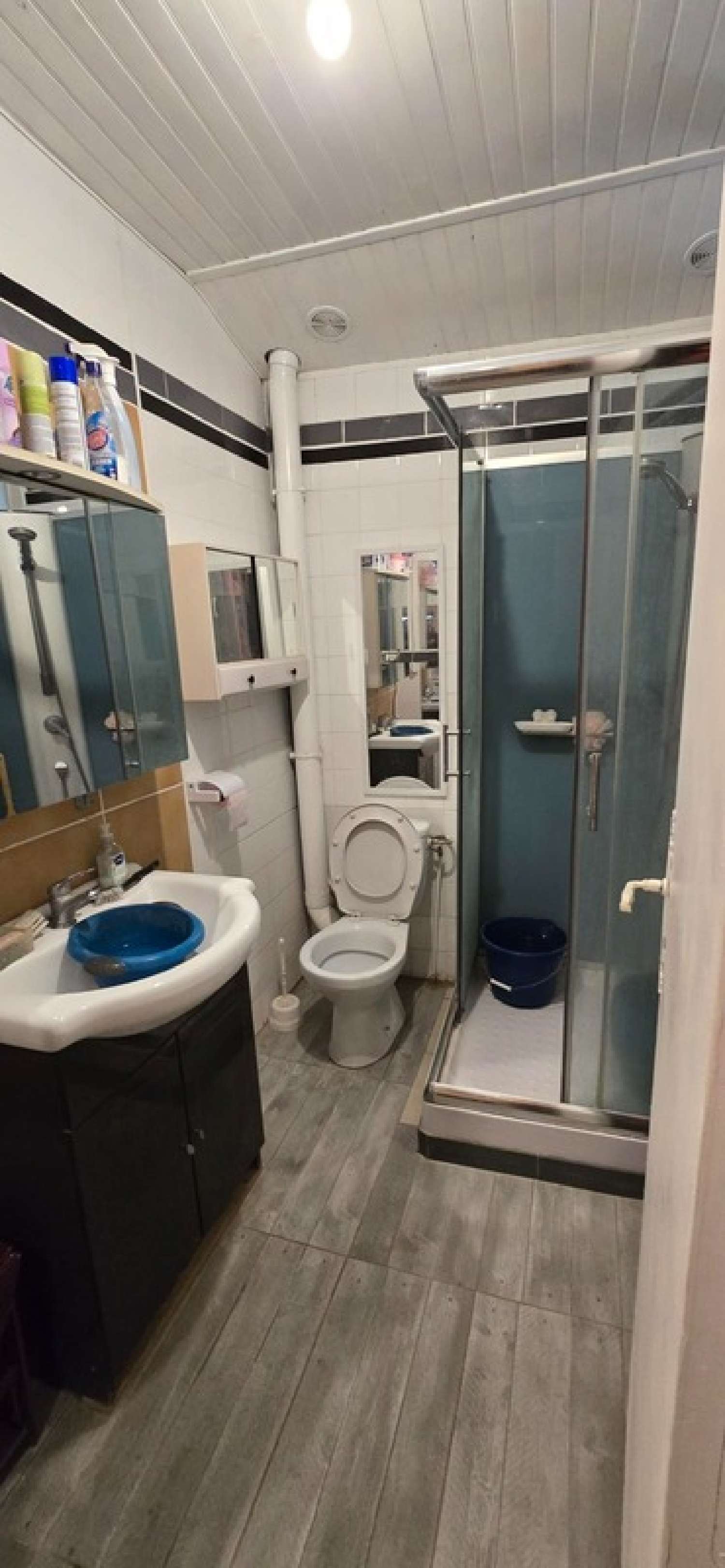 te koop huis Dissais Vendée 2