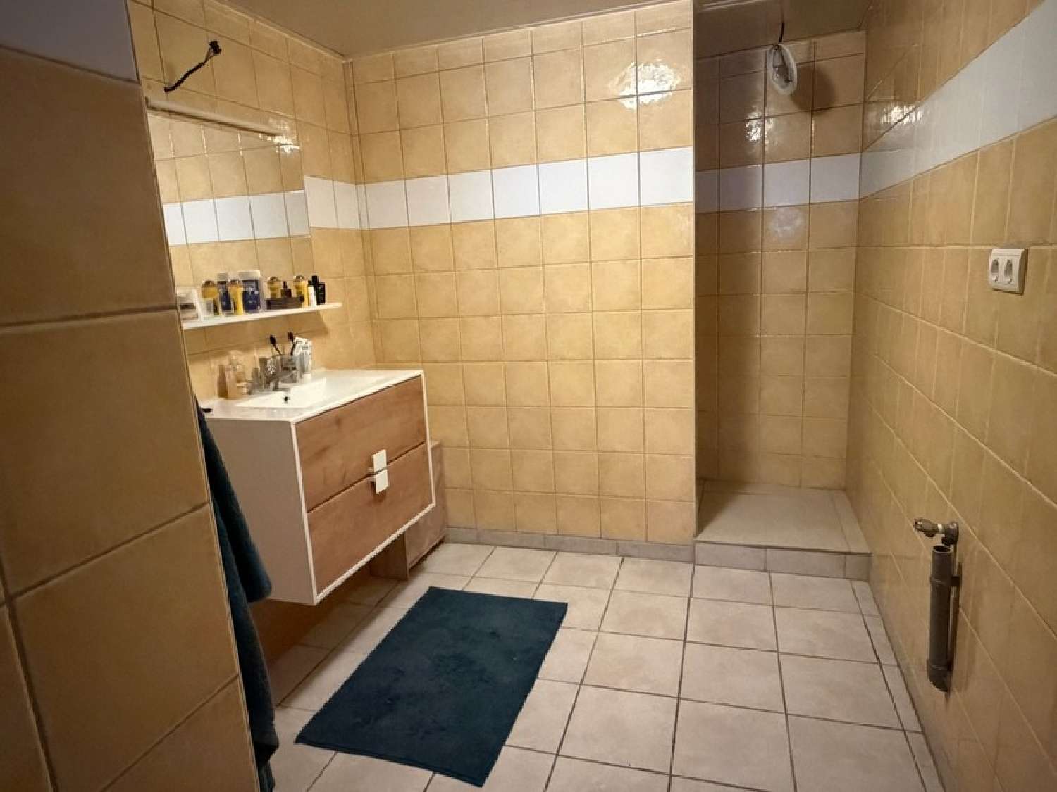 te koop huis Dissais Vendée 4