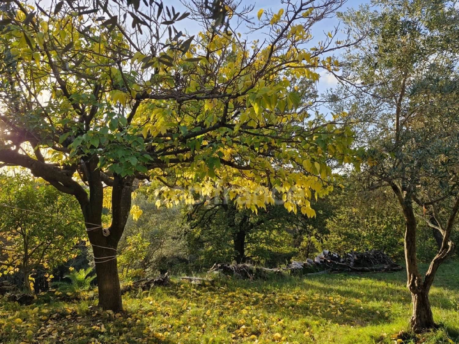 à vendre maison Éguilles Bouches-du-Rhône 3