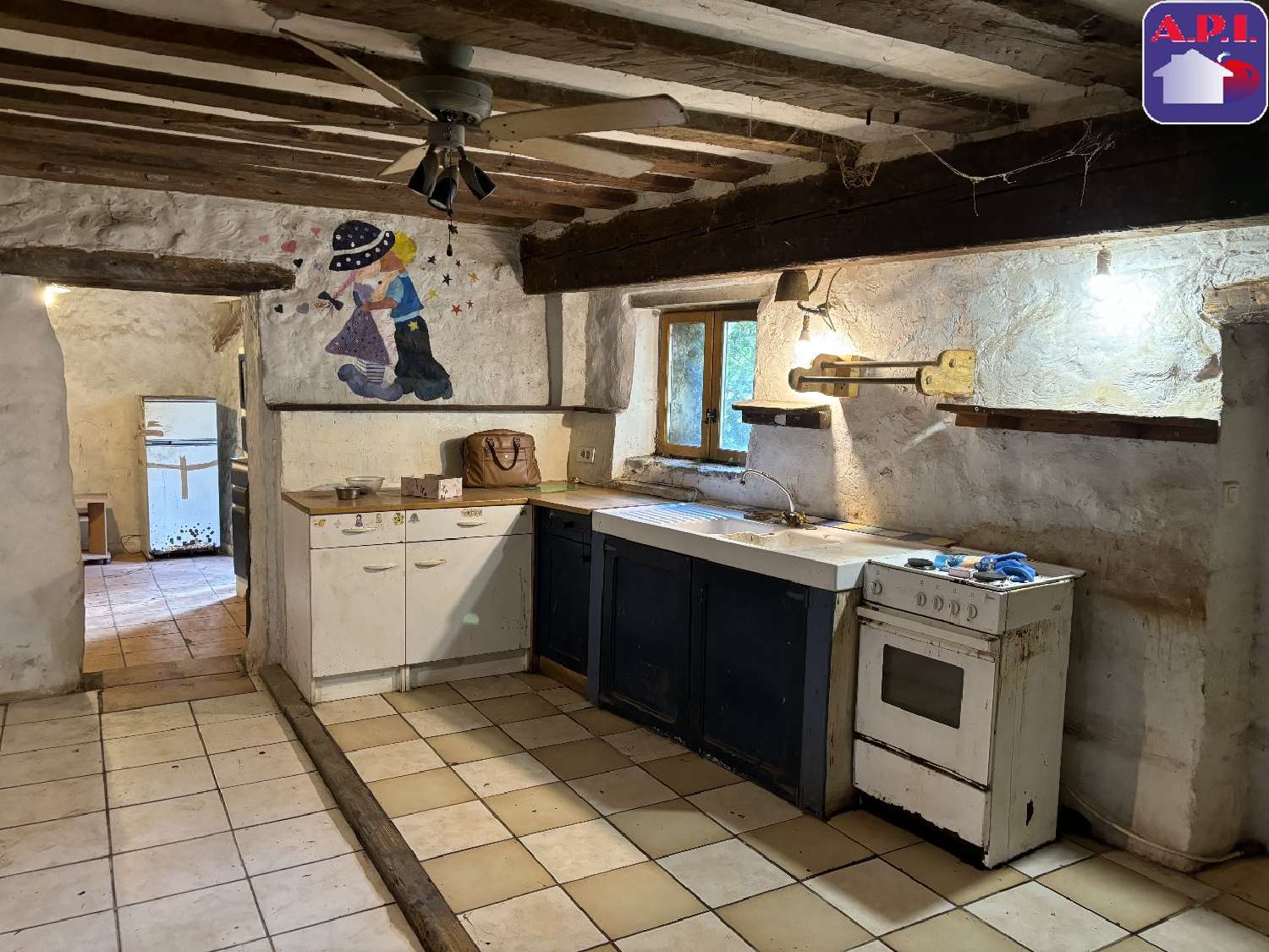  à vendre maison Espezel Aude 4