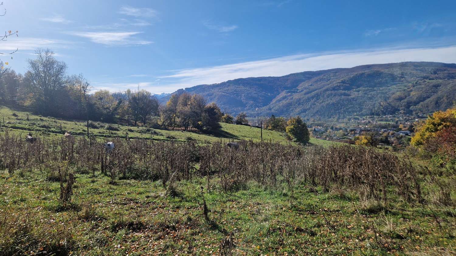 te koop huis Foix Ariège 2