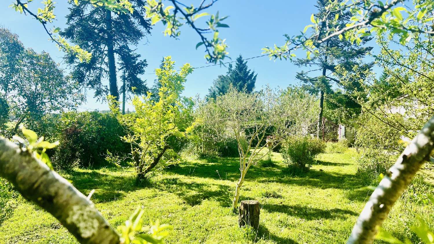 te koop huis Fréjairolles Tarn 3