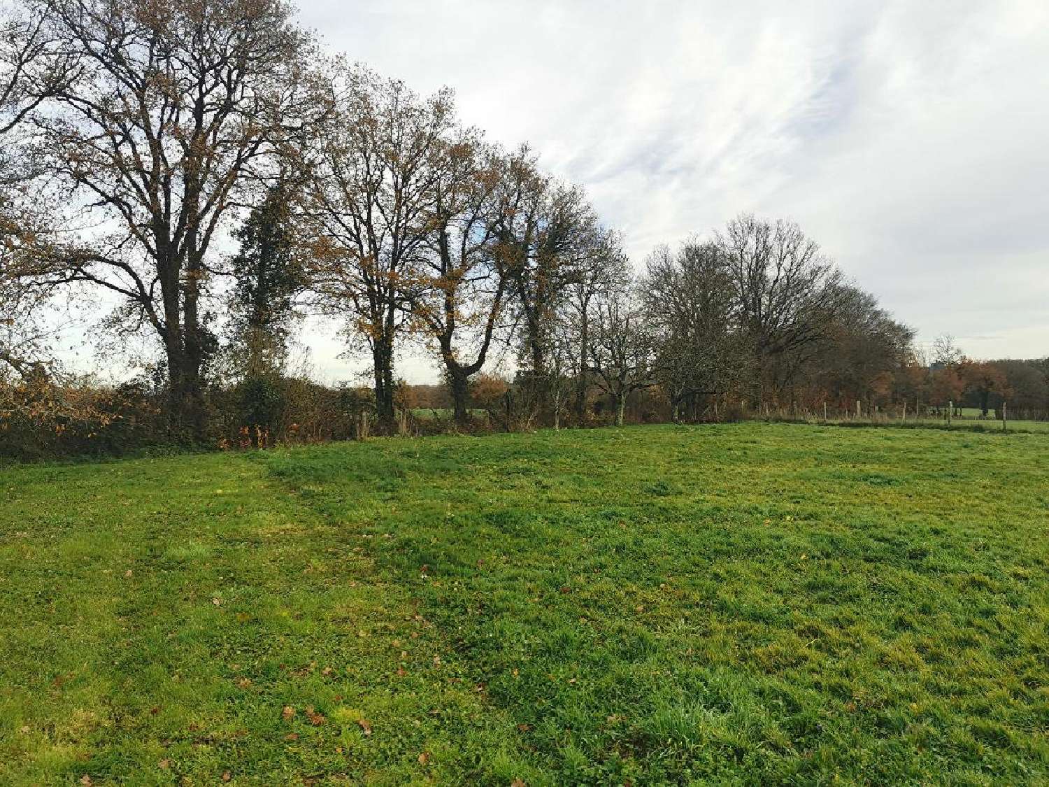  à vendre maison Gorre Haute-Vienne 5