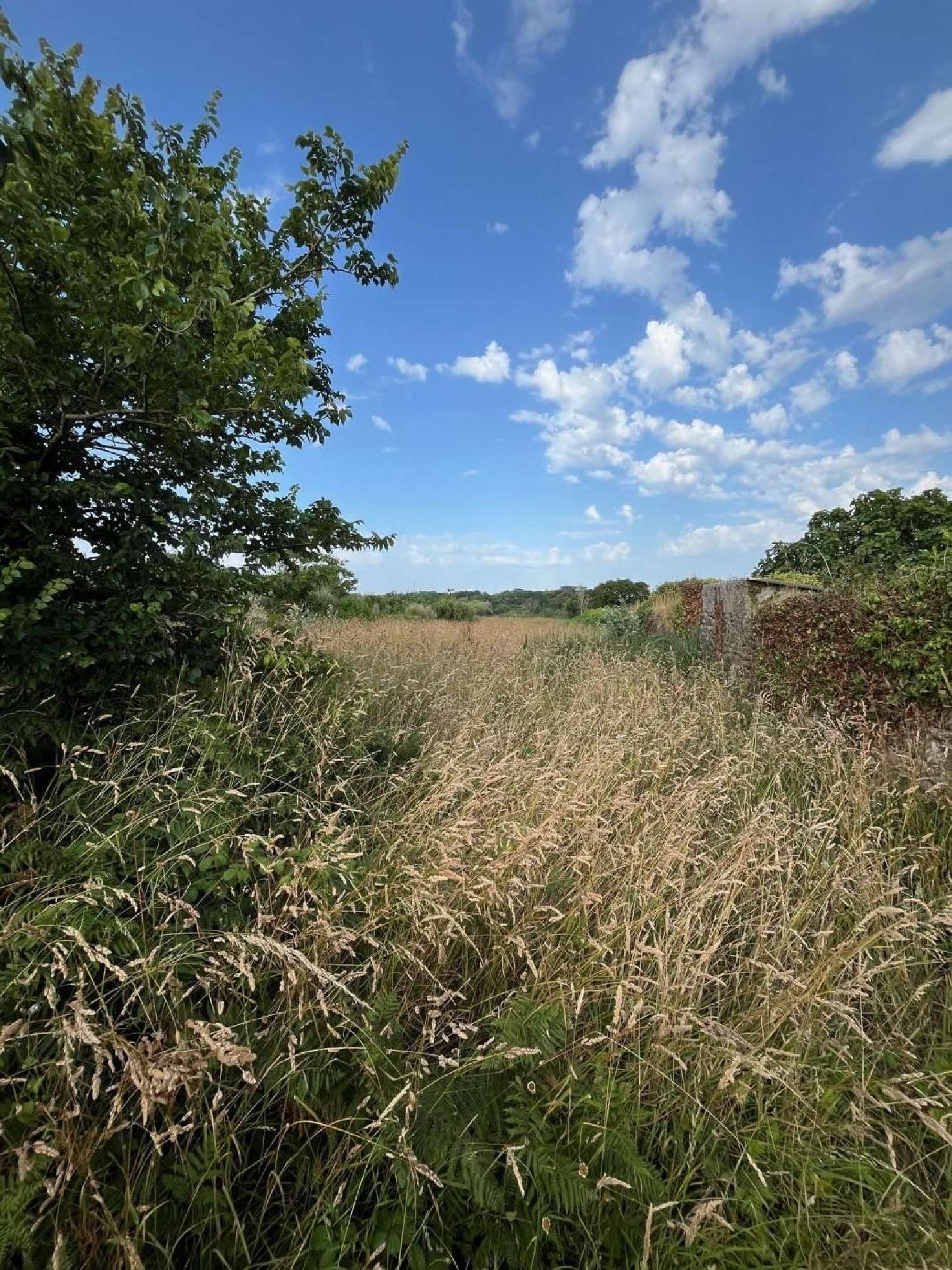  à vendre maison Goulien Finistère 1