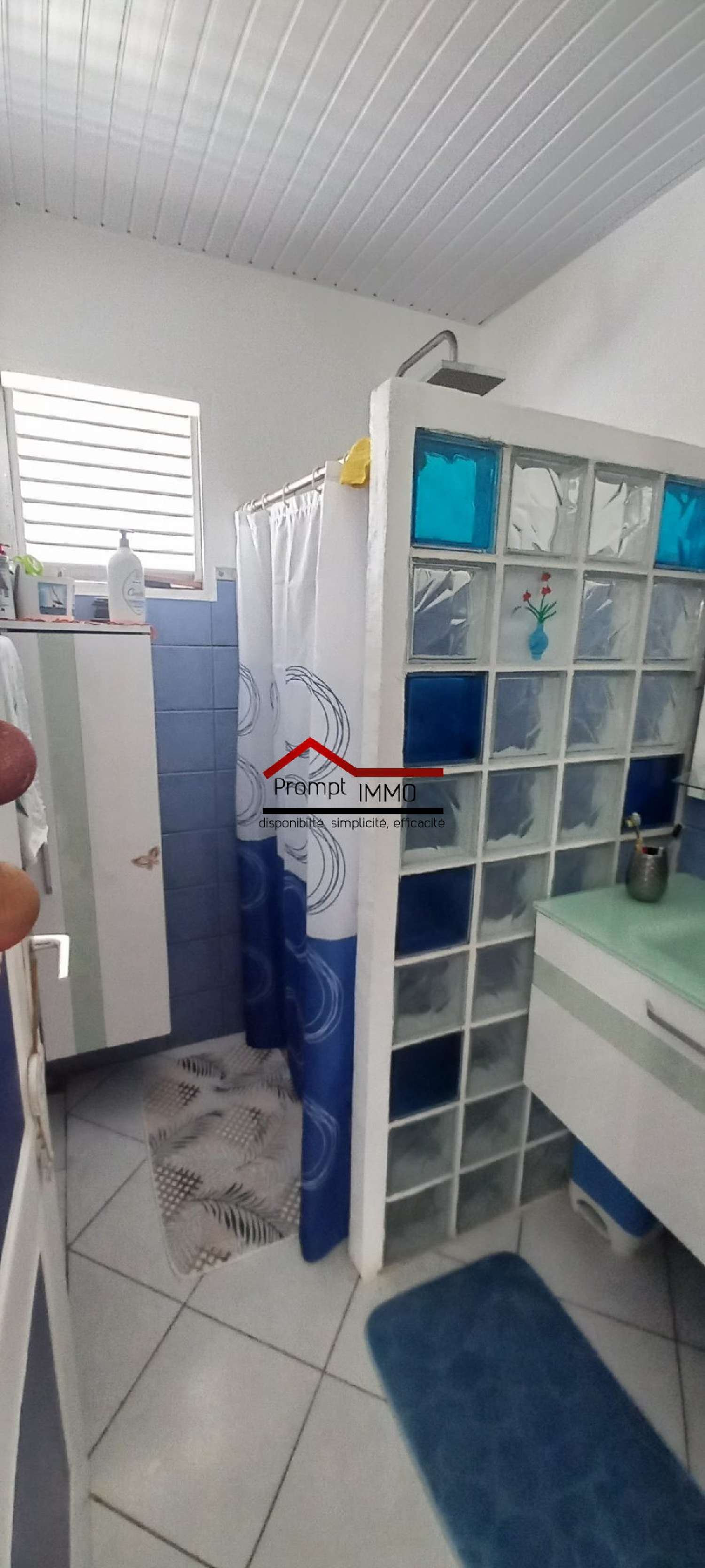 te koop huis Grand'Rivière Martinique 8