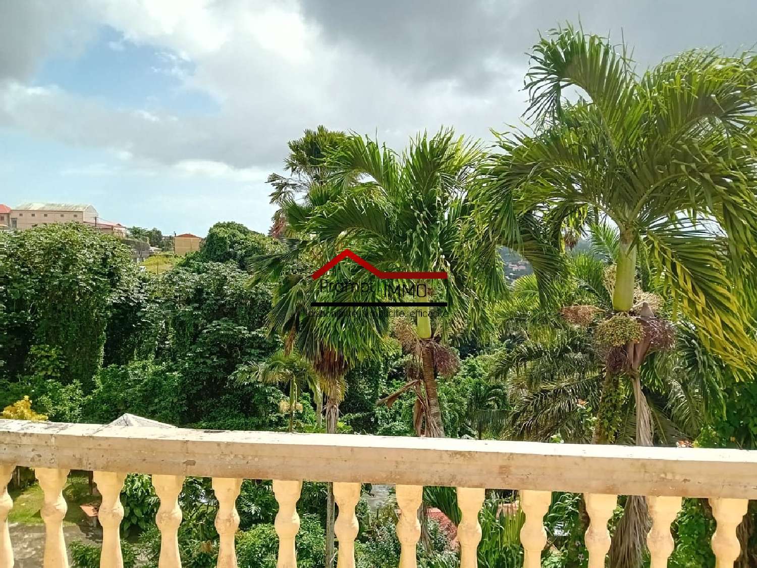 te koop huis Gros-Morne Martinique 3