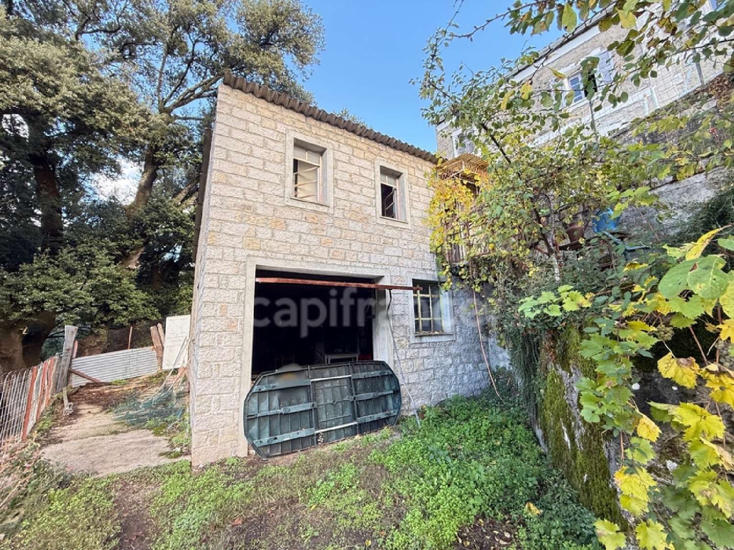 kaufen Haus Guagno Corse-du-Sud 4