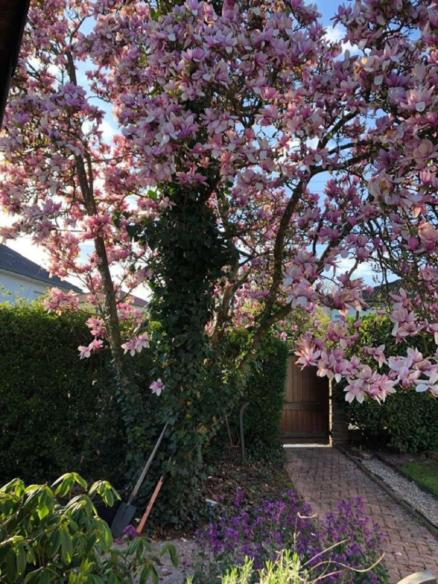  for sale house Guebenhouse Moselle 2