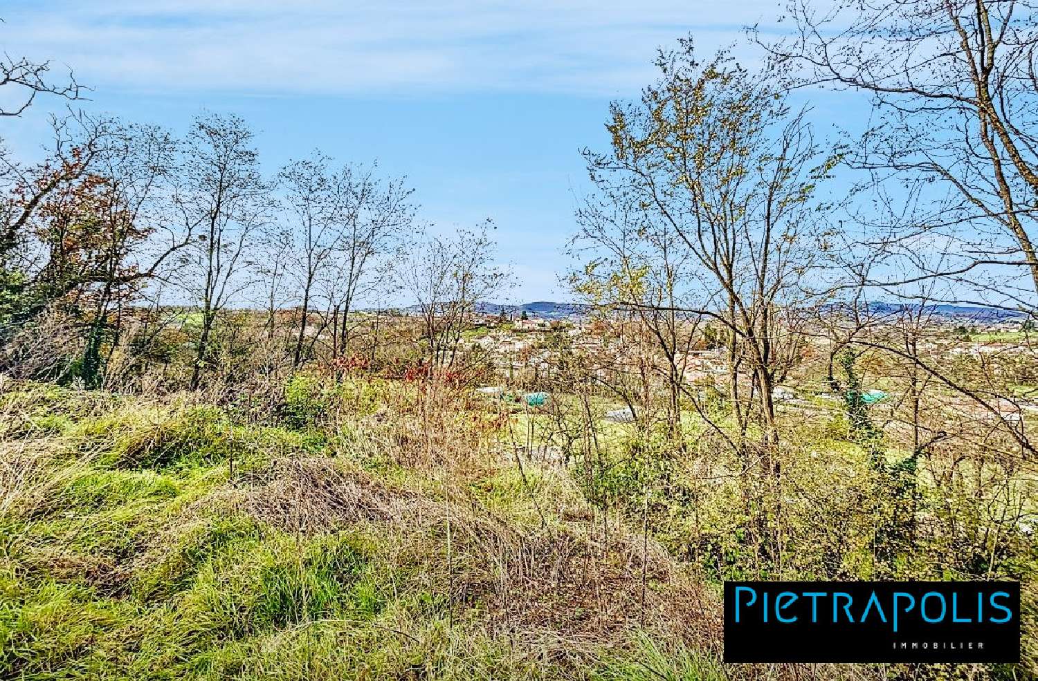  for sale house Jarnioux Rhône 2